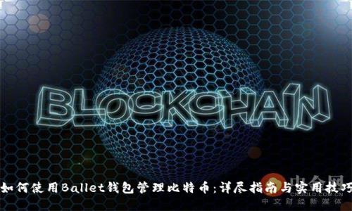 如何使用Ballet钱包管理比特币：详尽指南与实用技巧