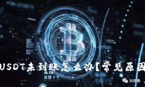 : 货币钱包转账USDT未到账怎么办？常见原因解析及解决方案