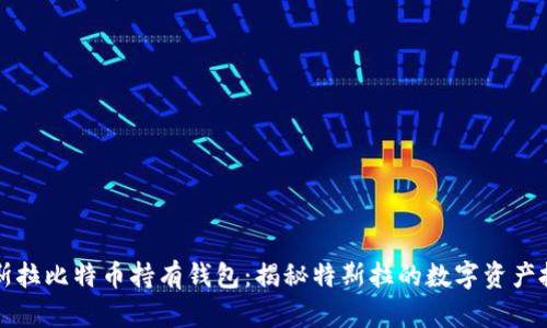 特斯拉比特币持有钱包：揭秘特斯拉的数字资产投资
