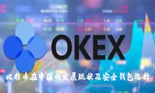 比特币在中国的发展现状及安全钱包选择