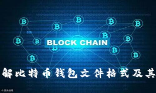 深入了解比特币钱包文件格式及其重要性