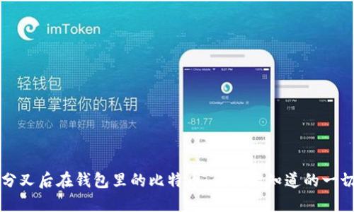 分叉后在钱包里的比特币：你需要知道的一切