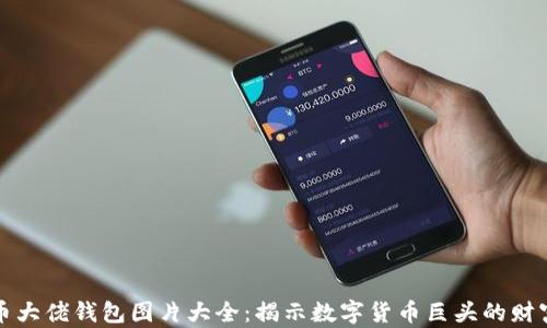 
比特币大佬钱包图片大全：揭示数字货币巨头的财富秘密