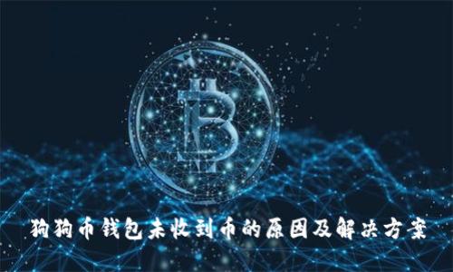 狗狗币钱包未收到币的原因及解决方案