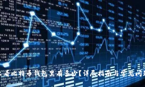 : 怎么看比特币钱包里有多少？详尽指南与常见问题解答