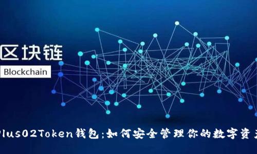 Plus02Token钱包：如何安全管理你的数字资产