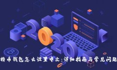 : 比特币钱包怎么设置中文